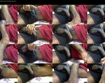 blackbull_193