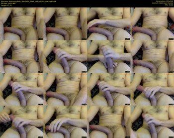 thehorseydude