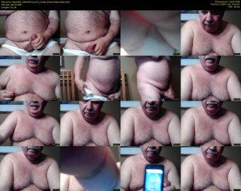 tbear66
