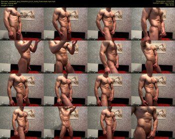 aesthetic_guy