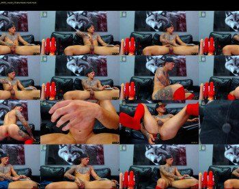 thadeo_wolfrc