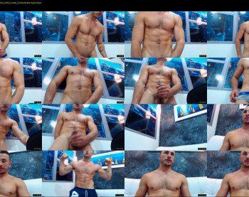 fox_damian_fox2