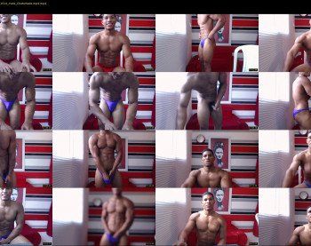 teddyfit19cm