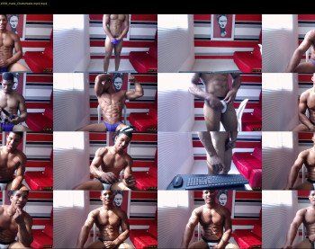teddyfit19cm