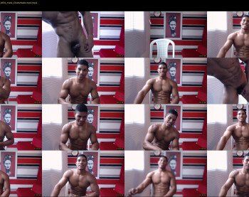 teddyfit19cm