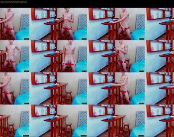 the_king_cami