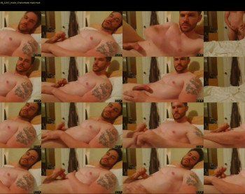 vanillagorilla365