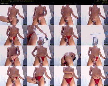 david_sting_xxx