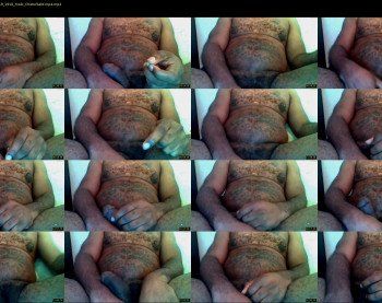 dickslinger1323