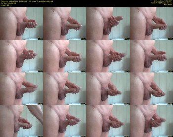 paultje7171