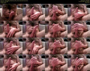 steffan8664