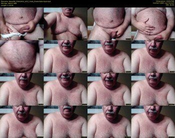 tbear66