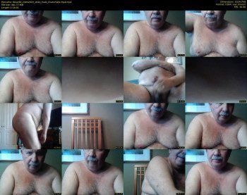 tbear66