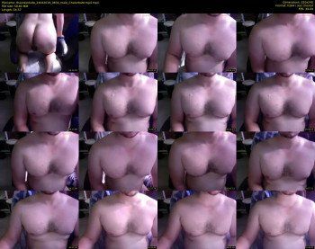 thaussiedude