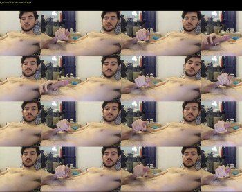 hotbearx