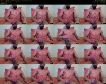 tapdatbotty