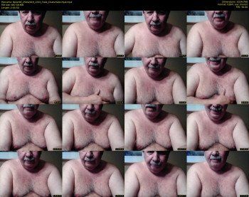 tbear66