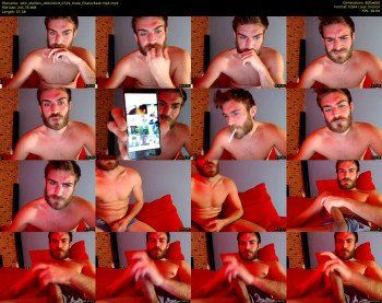 10in_stallion