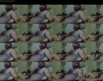 batorcub04