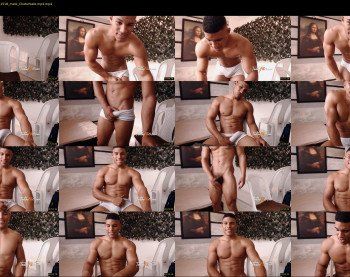 teddyfit19cm