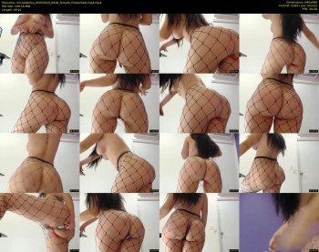 michellesins