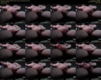 squirteril