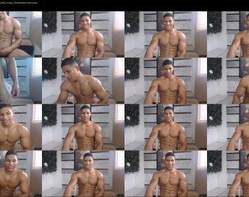 teddyfit19cm