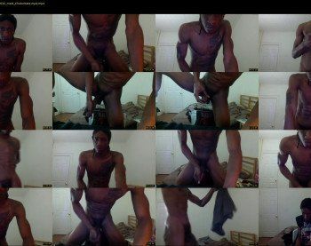 bigdummy7