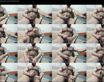heavilymuscledbeast