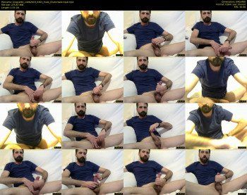 kingcat82