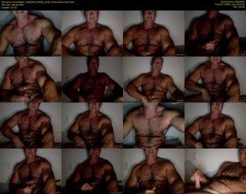 musclbear