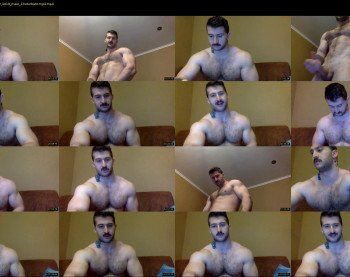 panda_muscle