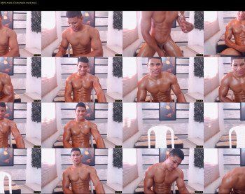 teddyfit19cm