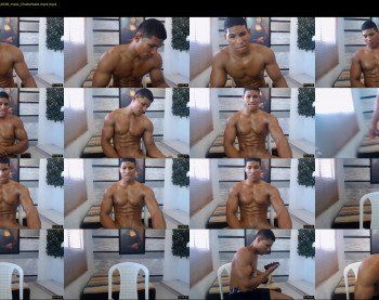 teddyfit19cm
