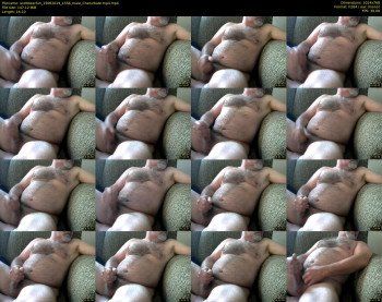 scottbearfun