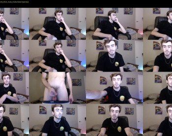 sexual_vibrations
