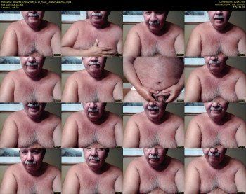 tbear66