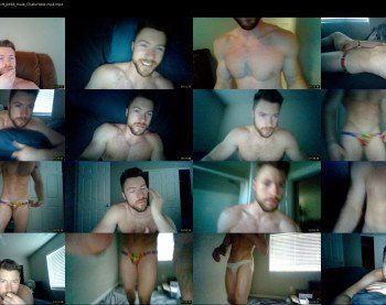 about_the_bulge