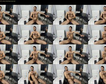 dante_grey_