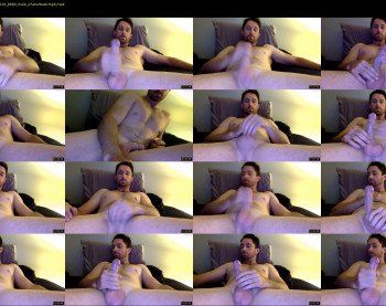 michaelangelo28