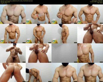 promuscles4u