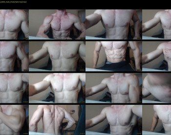 rippedandhigh
