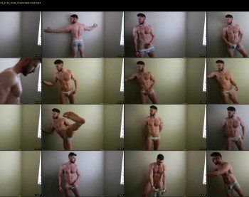 about_the_bulge