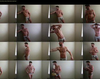 about_the_bulge