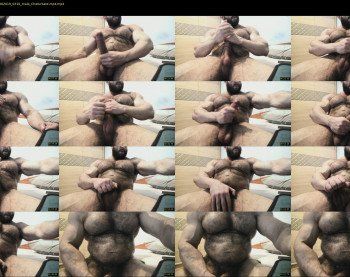 heavilymuscledbeast