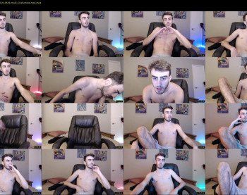 sexual_vibrations