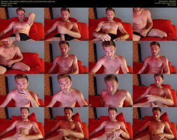 10in_stallion