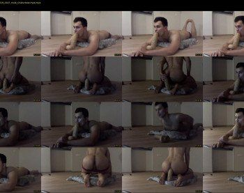 happycock_9inch