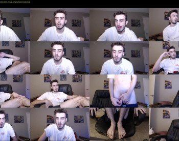 sexual_vibrations