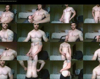 vanillagorilla365